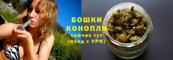 бошки Бородино